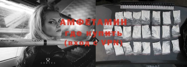 гашик Осинники