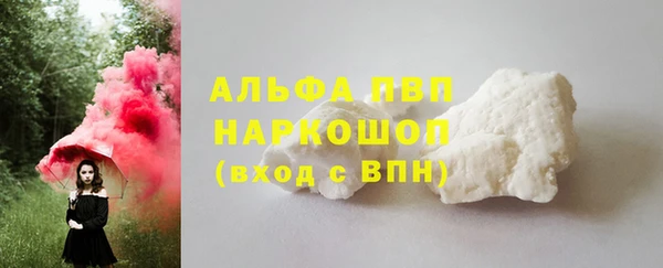 молекула духа Бородино