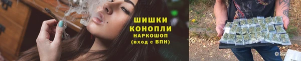 молекула духа Бородино