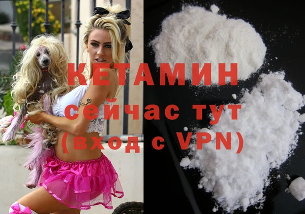 молекула духа Бородино
