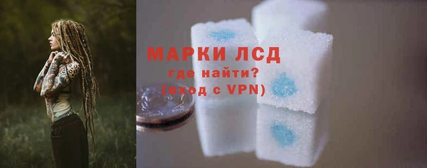 гашик Осинники