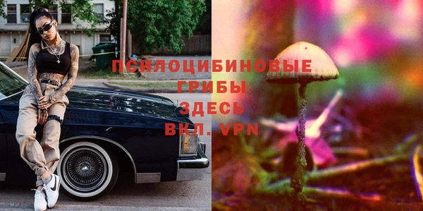 а пвп мука Бугульма
