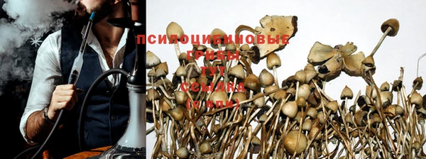 гашик Осинники