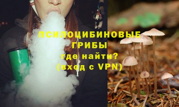 а пвп мука Бугульма