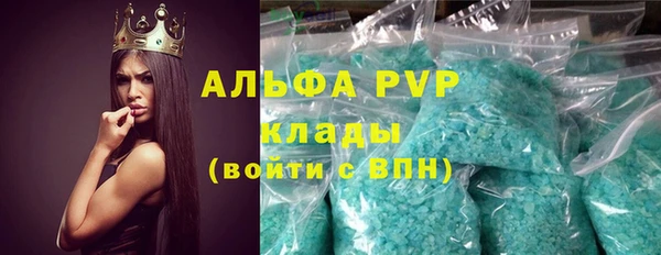гашик Осинники