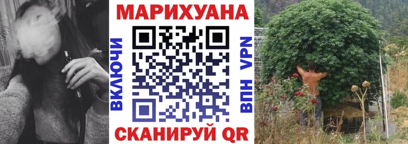 Канабис OG Kush  Будённовск 